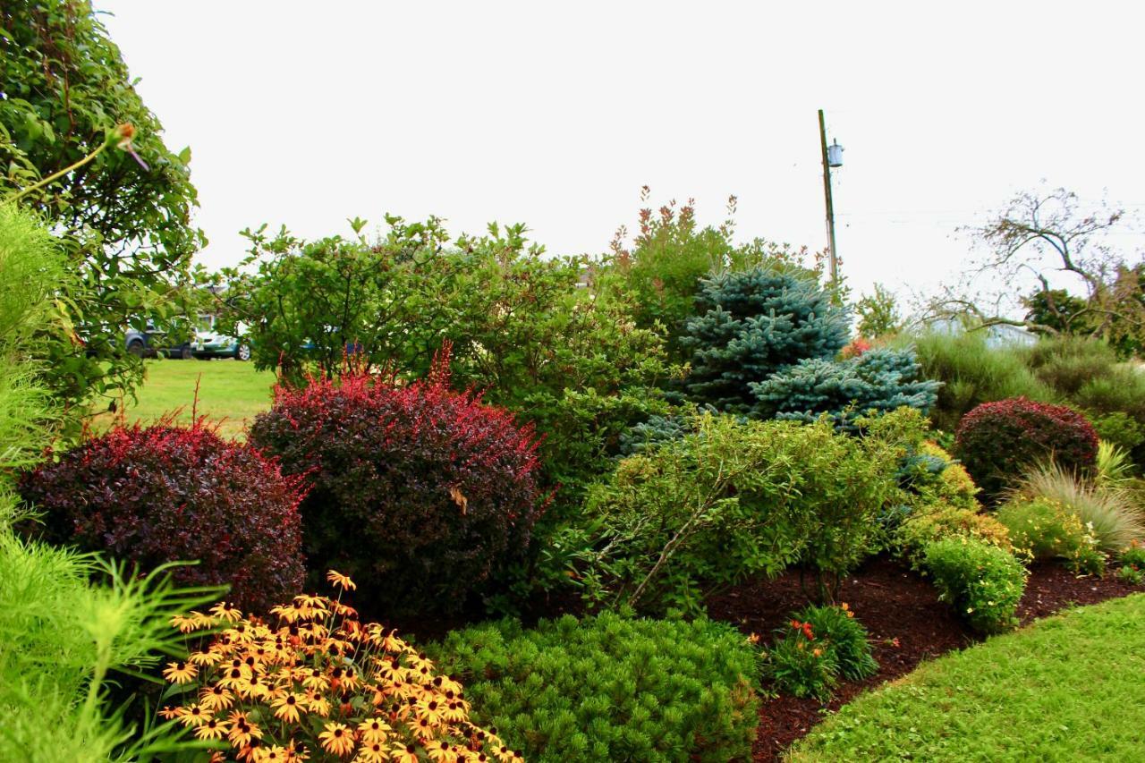 Evangeline Inn & Motel Grand pré Dış mekan fotoğraf